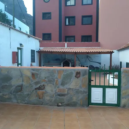 Retama Del Teide Valle Gran Rey